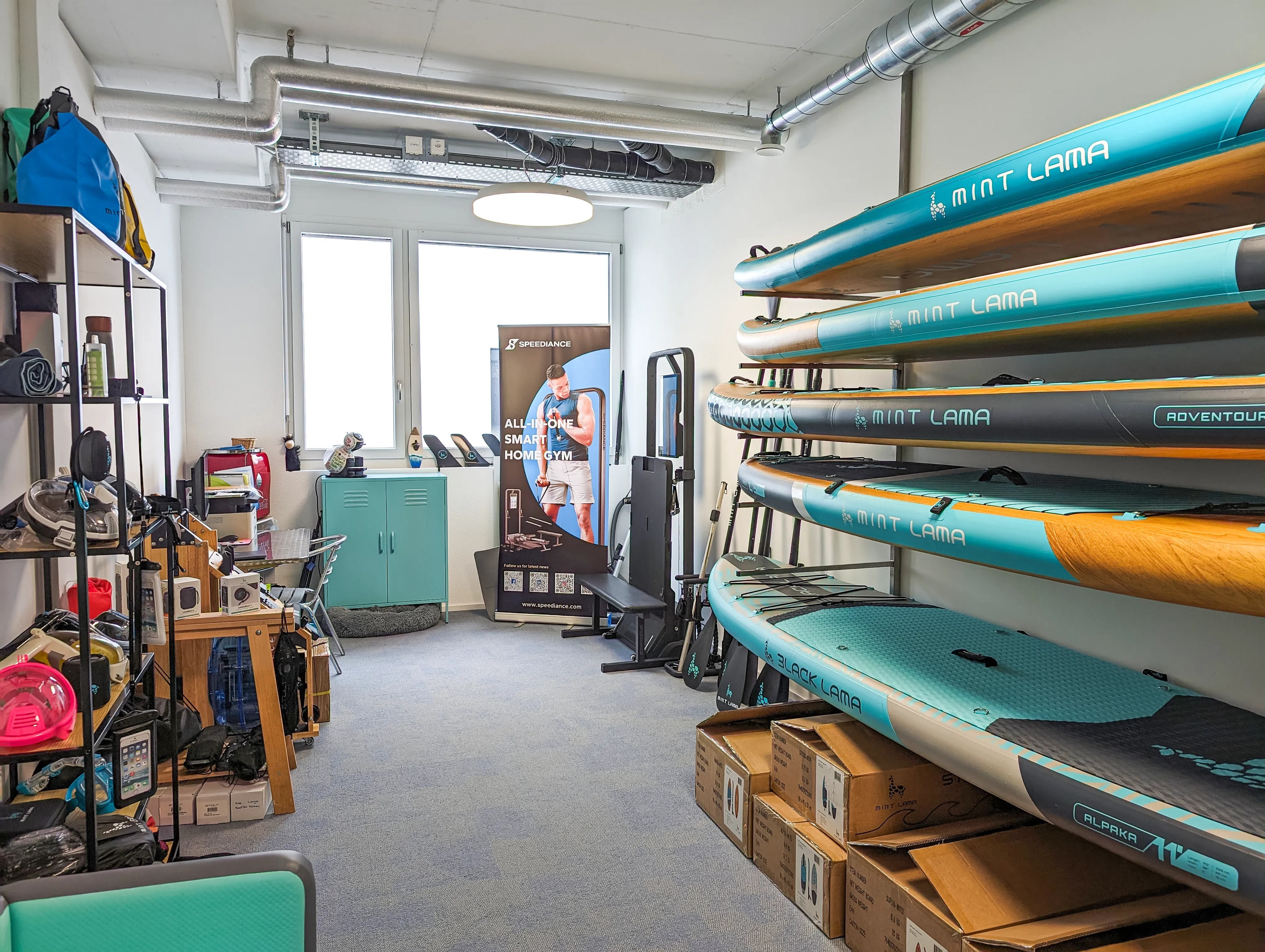 Showroom MINT LAMA