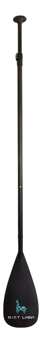 100% carbon paddle View 4