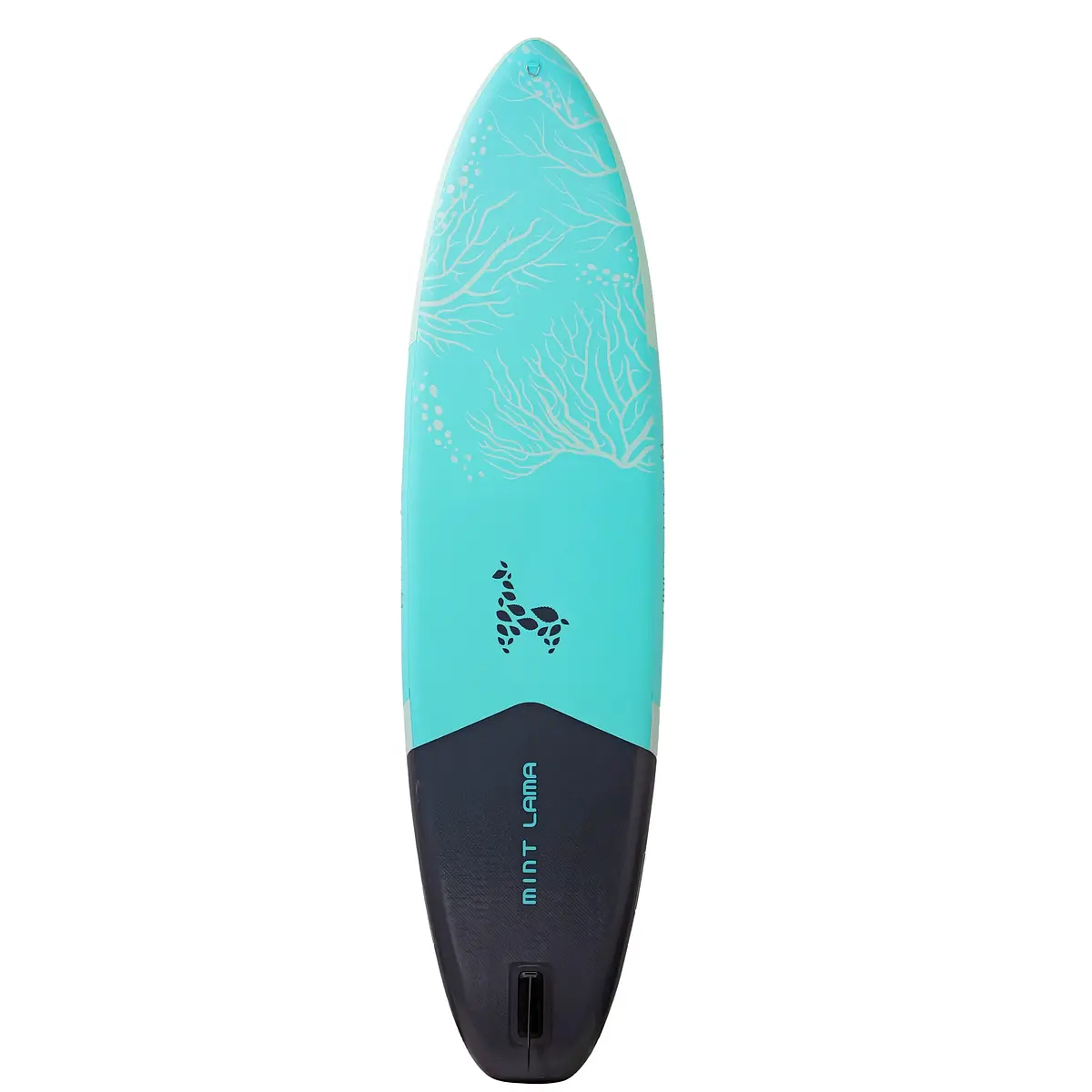 Alpaka 11'0" AQUA Vue 20