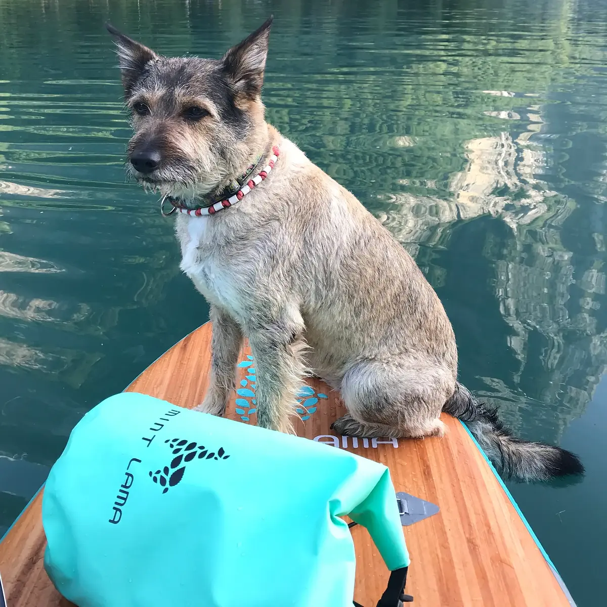 Sacca waterproof Vista 5