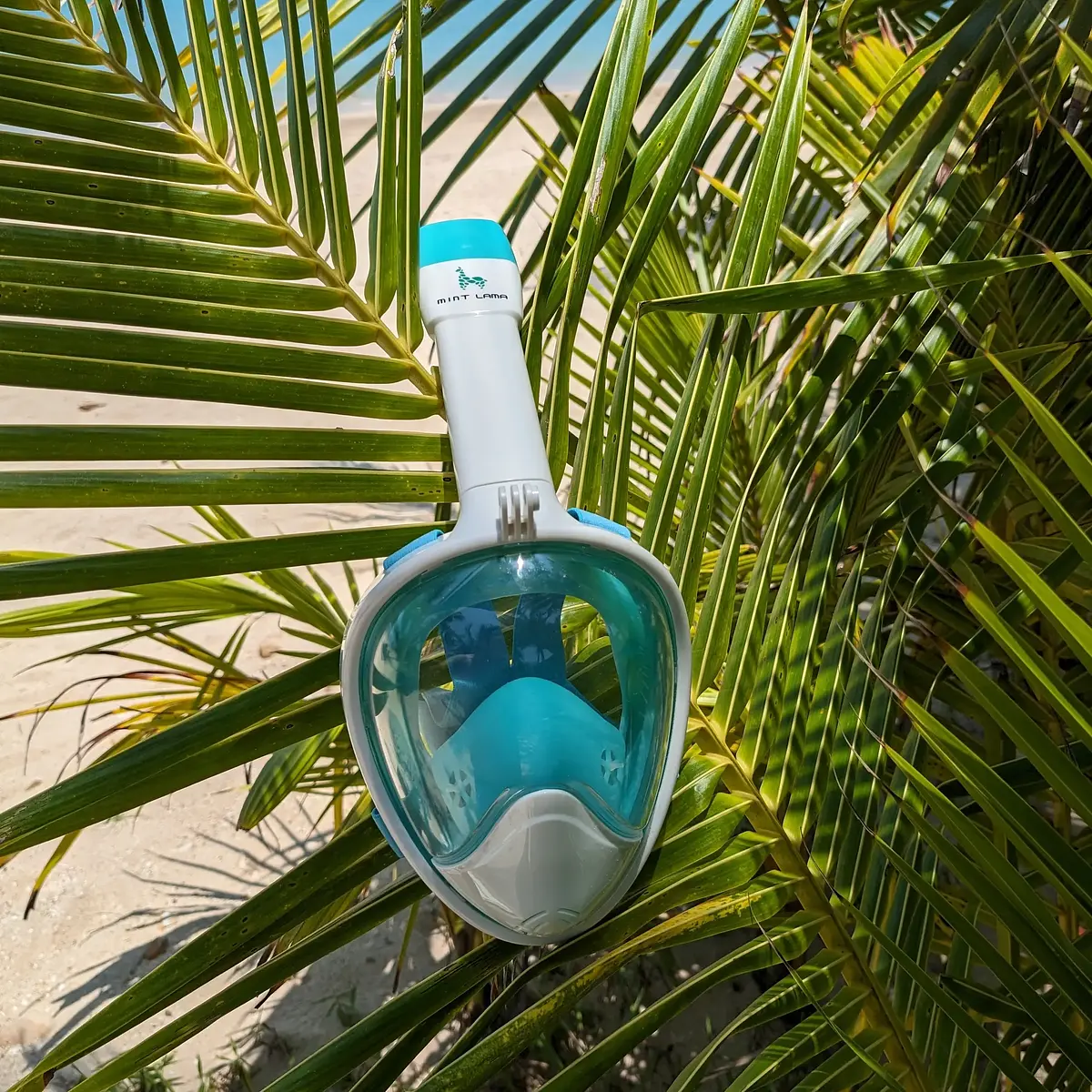 Freebreath snorkelling mask round glass View 3