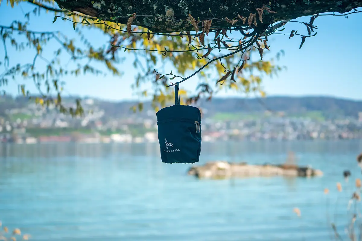 Backpack 25 litres - Foldable View 3